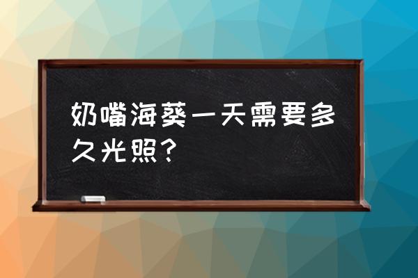 奶嘴海葵需要灯光吗 奶嘴海葵一天需要多久光照？