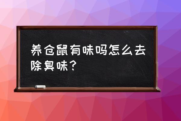 怎样养仓鼠不会臭 养仓鼠有味吗怎么去除臭味？