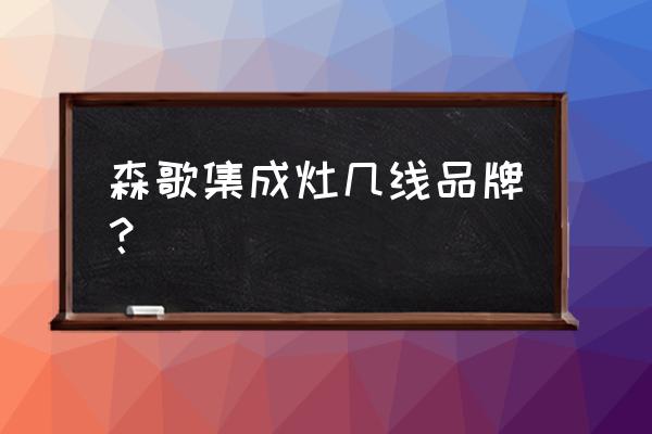 森歌高端集成灶品牌怎么样 森歌集成灶几线品牌？