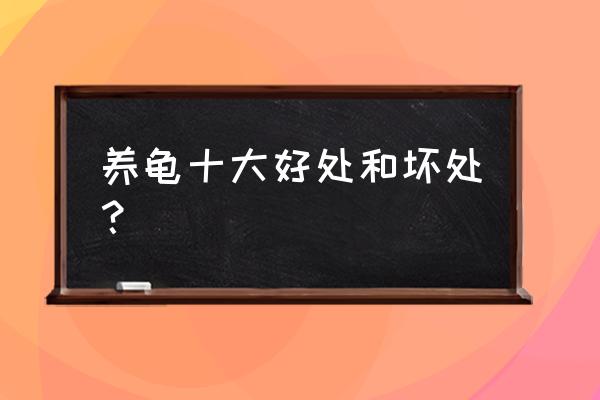 巴西龟养在家里有啥好坏处 养龟十大好处和坏处？