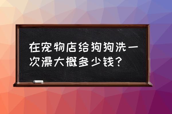 宠物店洗一次狗要多少钱 在宠物店给狗狗洗一次澡大概多少钱？