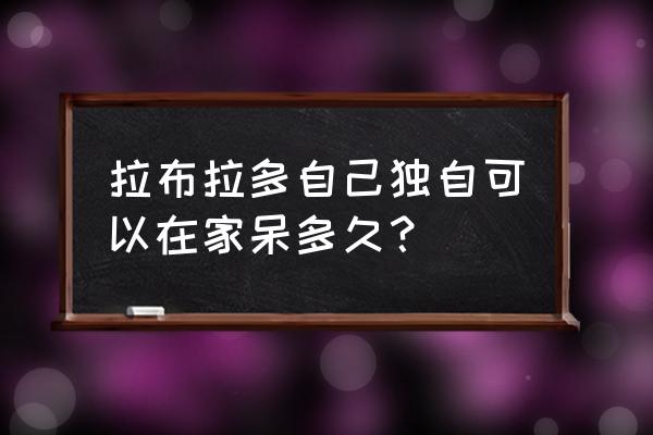 拉布拉多犬自己在家可以吗 拉布拉多自己独自可以在家呆多久？