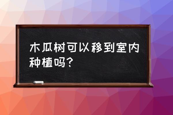 家居阳台种木瓜好吗 木瓜树可以移到室内种植吗？