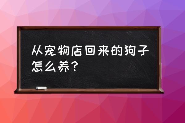 从宠物店买回来的狗注意什么 从宠物店回来的狗子怎么养？