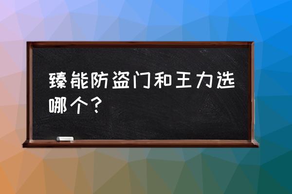 请问能找到臻能牌防盗门吗 臻能防盗门和王力选哪个？