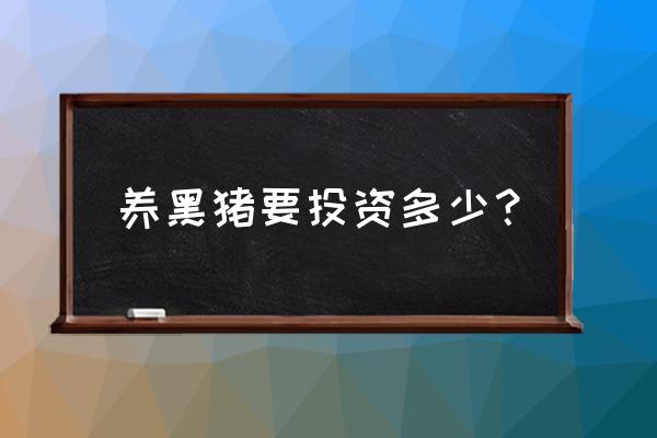 养殖生态黑猪投资大吗 养黑猪要投资多少？