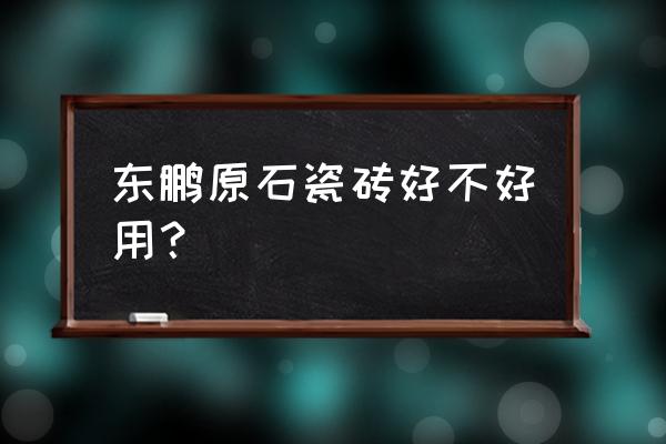 什么叫东鹏原石瓷砖 东鹏原石瓷砖好不好用？