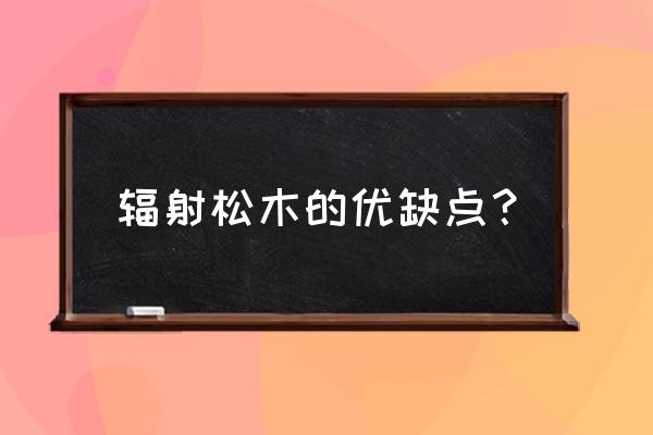 新西兰辐射松做寿材抗烂吗 辐射松木的优缺点？