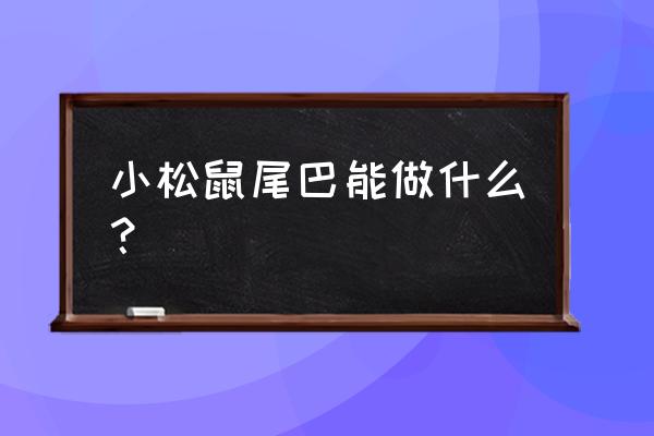 松鼠尾怎么加工挂件 小松鼠尾巴能做什么？