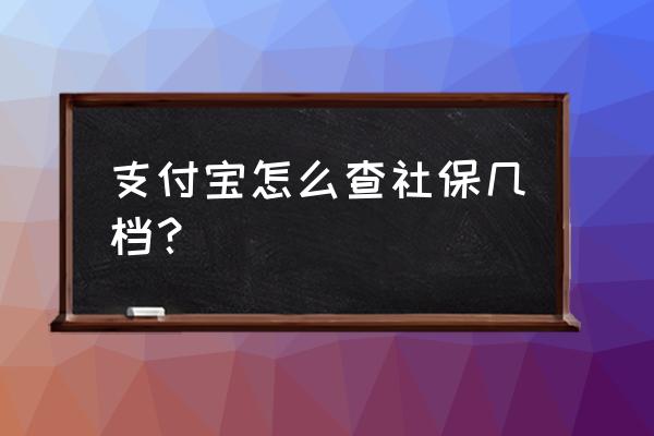 怎么看自己是几档社保 支付宝怎么查社保几档？