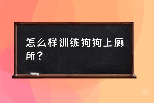 狗如何训练大小便 怎么样训练狗狗上厕所？