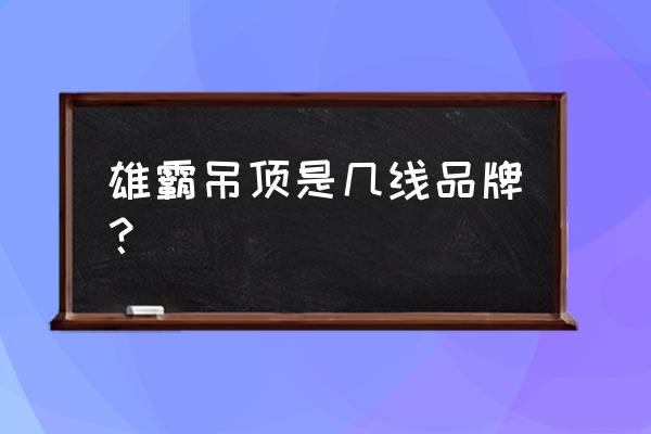 现代集成吊顶是几线品牌好 雄霸吊顶是几线品牌？