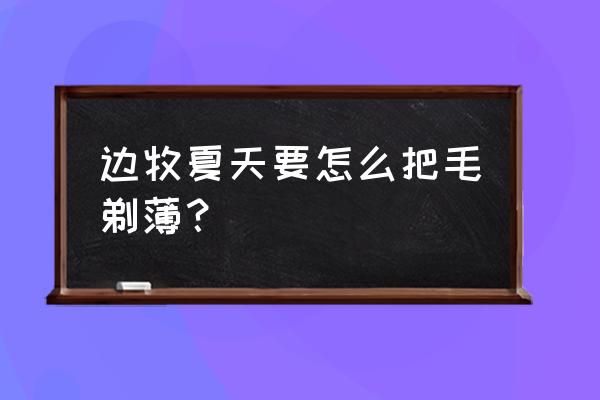 怎样给边牧狗剪毛发 边牧夏天要怎么把毛剃薄？