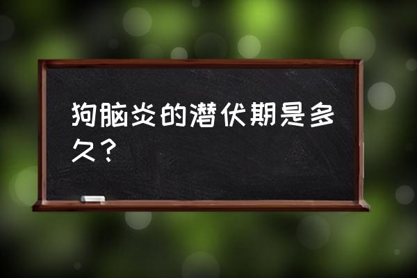 巴哥犬脑炎发作是什么症状 狗脑炎的潜伏期是多久？