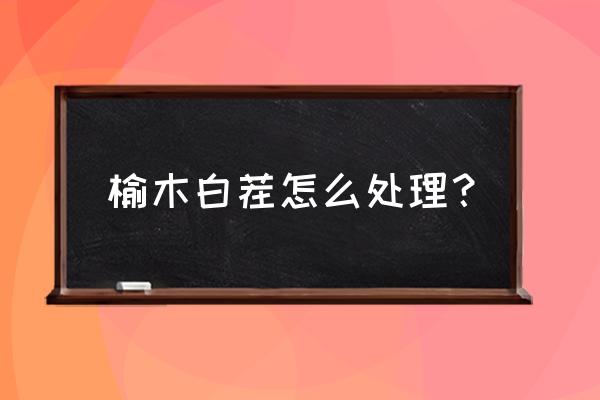 老榆木白胚家具怎么处理 榆木白茬怎么处理？