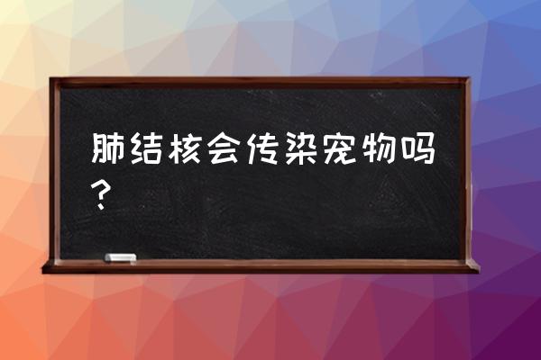 宠物店做容易得结核吗 肺结核会传染宠物吗？