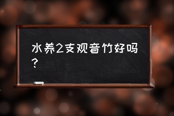 养观音竹放多少水 水养2支观音竹好吗？