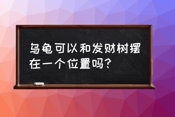 风水乌龟如何摆放位置 乌龟可以和发财树摆在一个位置吗？