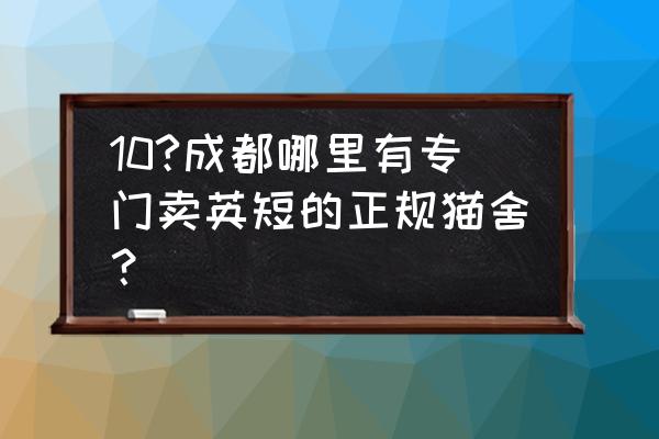 宠物店的猫是不是后院 10?成都哪里有专门卖英短的正规猫舍？