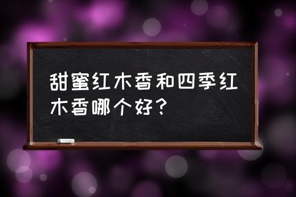 红木香花长什么样子 甜蜜红木香和四季红木香哪个好？