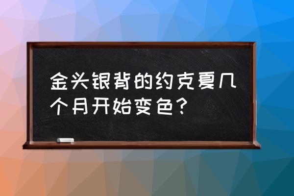 约克夏几岁开始换毛颜色 金头银背的约克夏几个月开始变色？