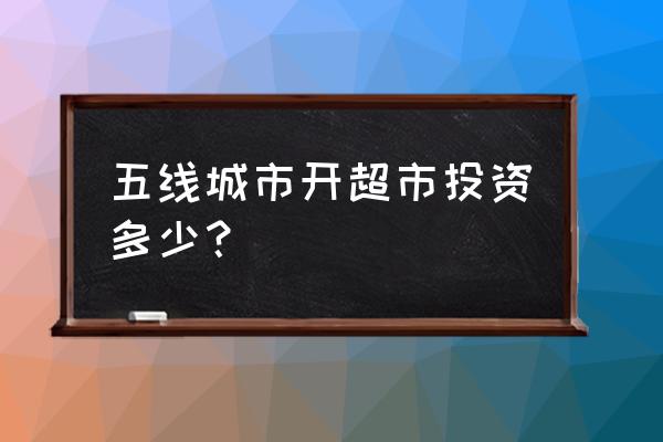 开超市投资有哪些 五线城市开超市投资多少？