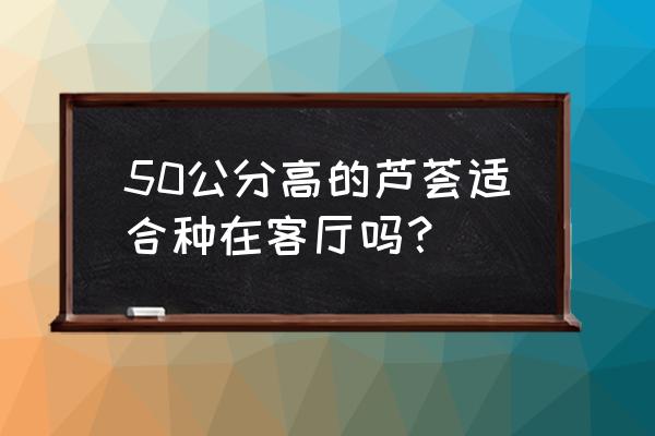 芦荟放客厅影响风水吗 50公分高的芦荟适合种在客厅吗？