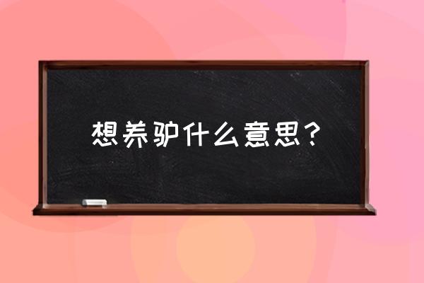 养一头驴当作宠物是怎样的体验 想养驴什么意思？