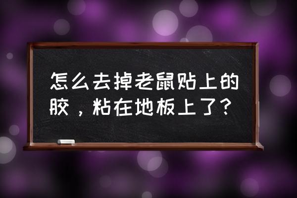 老鼠粘粘到地板砖上怎么去掉 怎么去掉老鼠贴上的胶，粘在地板上了？