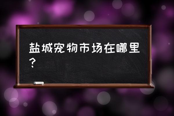 附近卖狗的市场在盐城哪里 盐城宠物市场在哪里？