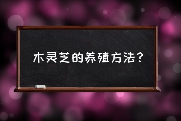 杉木可以种灵芝吗 木灵芝的养殖方法？