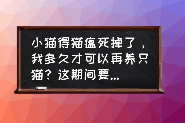 什么时候可以养第二只猫 小猫得猫瘟死掉了，我多久才可以再养只猫？这期间要做些什么？