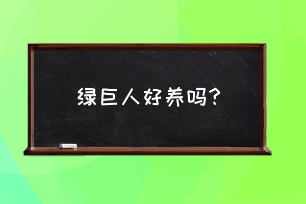 绿巨人的养殖方法及修剪 绿巨人好养吗？