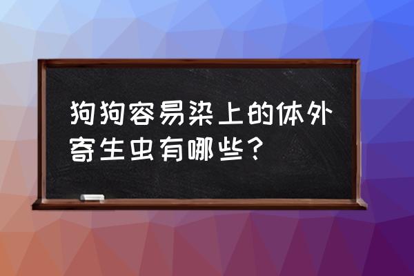 狗狗体外驱虫主要驱什么虫 狗狗容易染上的体外寄生虫有哪些？