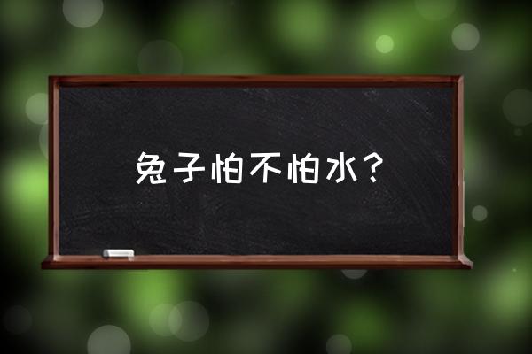 小兔子怎么才能在水里不怕水 兔子怕不怕水？