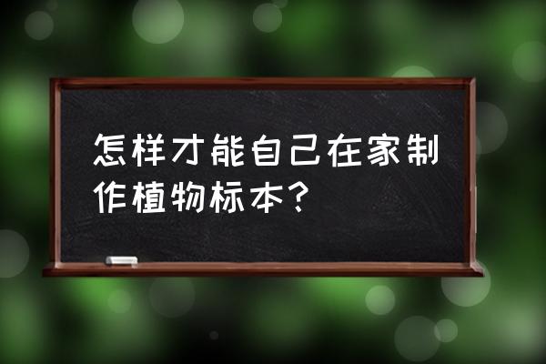 花朵标本制作方法步骤 怎样才能自己在家制作植物标本？