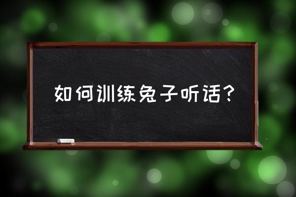 怎么训练狗狗老实听话 如何训练兔子听话？