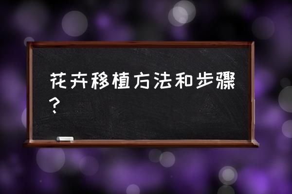 盆景移栽最快方法 花卉移植方法和步骤？