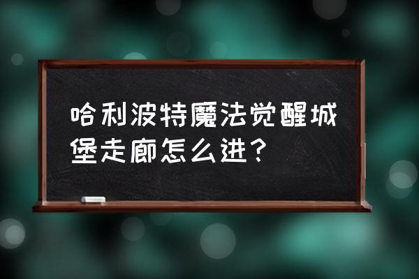 哈利波特魔法觉醒在城堡动不了 哈利波特魔法觉醒城堡走廊怎么进？