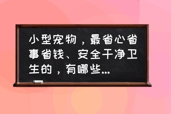 宠物狗怎么买便宜又健康 小型宠物，最省心省事省钱、安全干净卫生的，有哪些值得推荐？