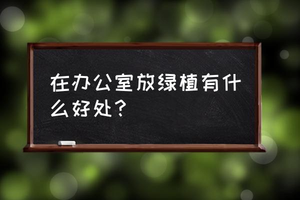 办公室一般什么位置摆放植物 在办公室放绿植有什么好处？