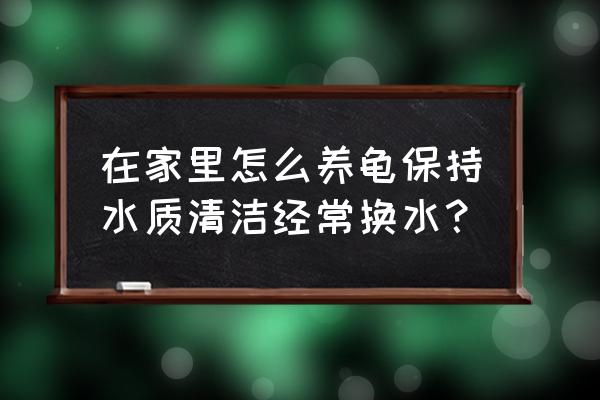 养龟不用换水的方法 在家里怎么养龟保持水质清洁经常换水？