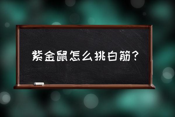 招财鼠手串需要抛光么 紫金鼠怎么挑白筋？