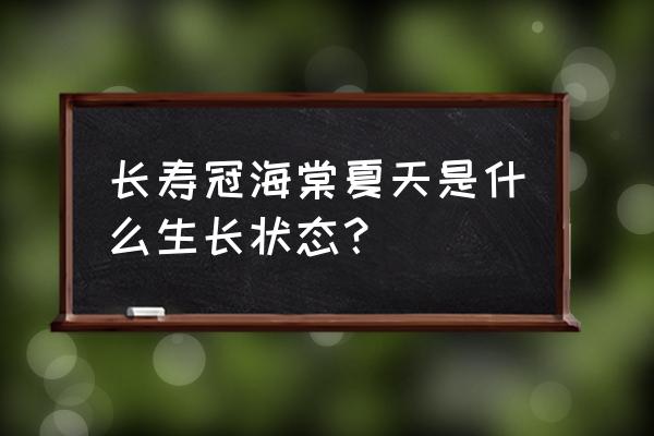 长寿冠海棠为什么长不高 长寿冠海棠夏天是什么生长状态？