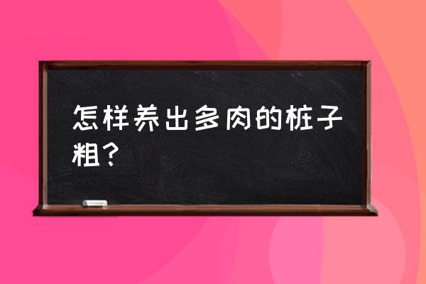 多肉怎么长得又矮又胖 怎样养出多肉的桩子粗？