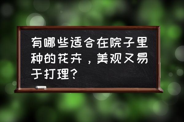 玫瑰月季适合庭院吗 有哪些适合在院子里种的花卉，美观又易于打理？