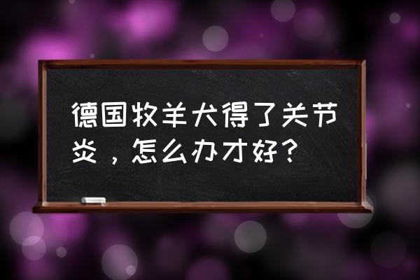 狗狗关节炎吃什么药 德国牧羊犬得了关节炎，怎么办才好？