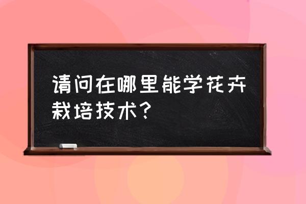 如何教孩子种花 请问在哪里能学花卉栽培技术？