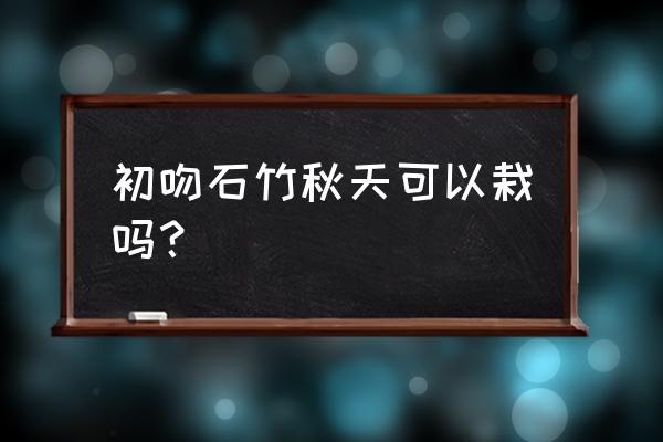 美国石竹种子几月播种最好 初吻石竹秋天可以栽吗？