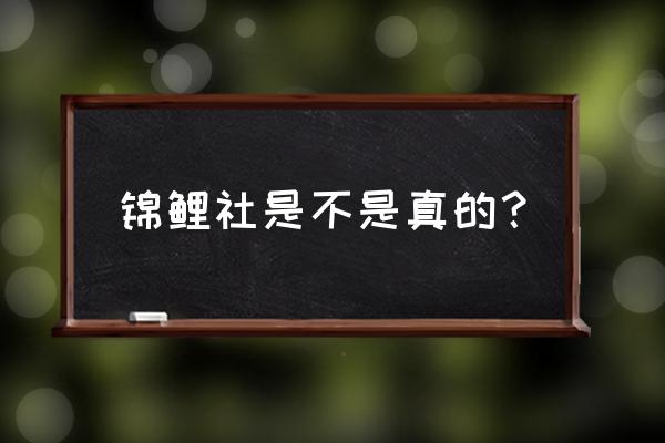 潮玩社的运营方法 锦鲤社是不是真的？